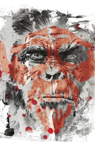 Cover of Cover B