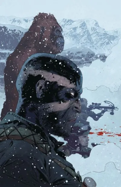 Cover of Cover D