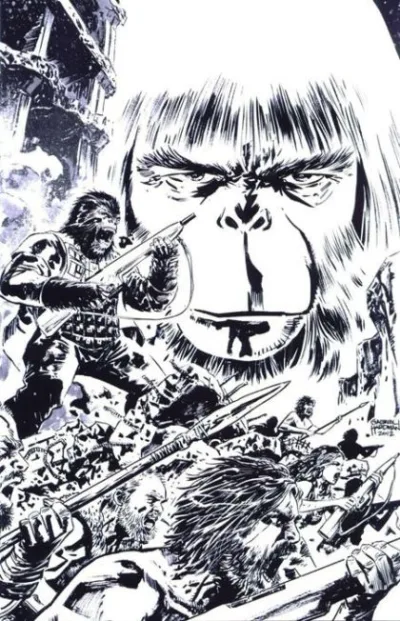 Cover of Cover C