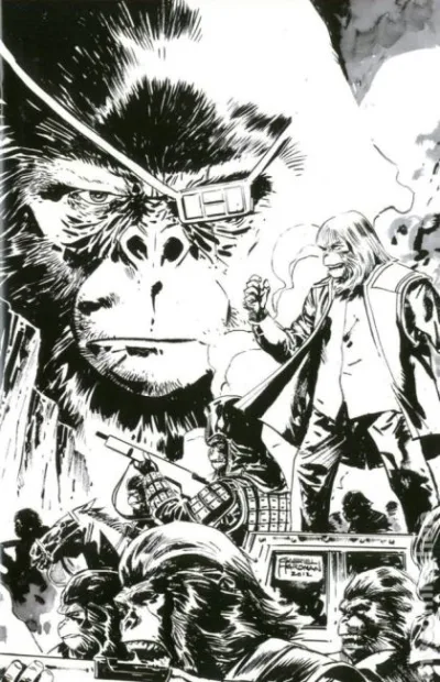 Cover of Cover C