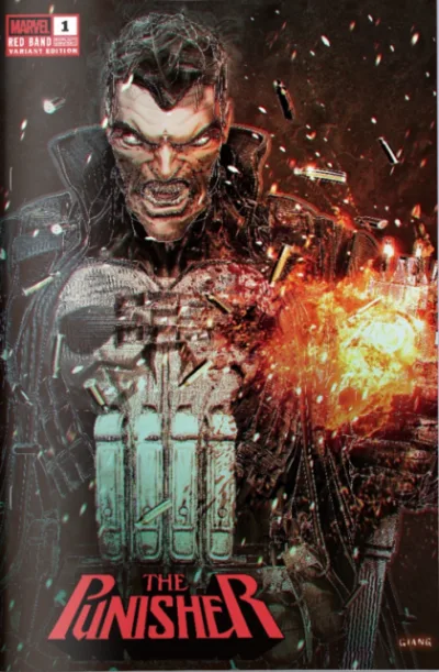 Cover of Cover P