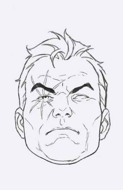 Cover of Cover D