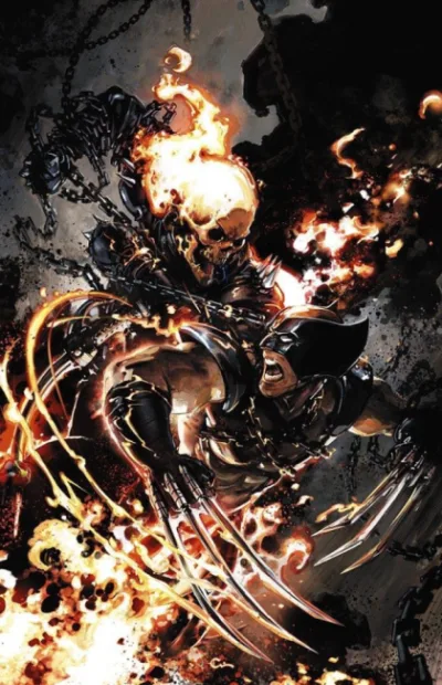 Cover of Cover D