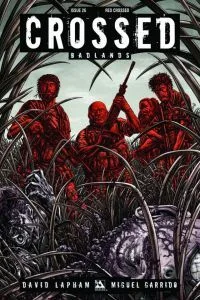 Cover of Cover D
