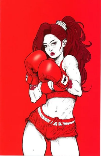 Cover of Cover D