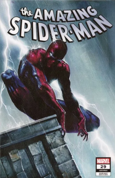 Cover of Cover P