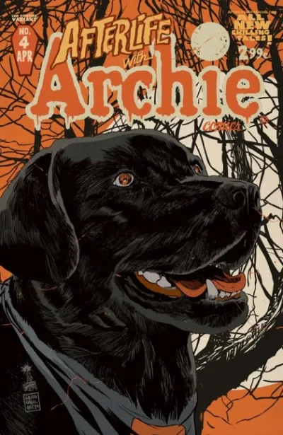 Cover of Cover D