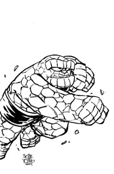 Cover of Cover D