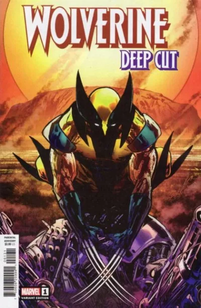 Cover of Cover C