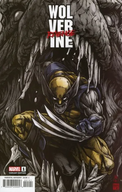 Cover of Cover D