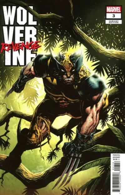 Cover of Cover D