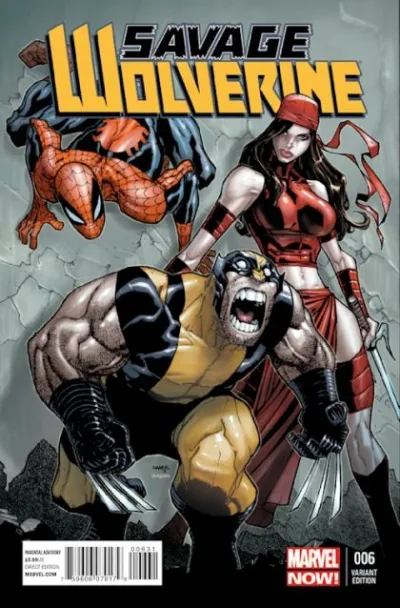 Cover of Cover C