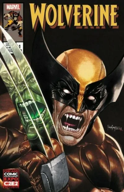 Cover of Cover Y