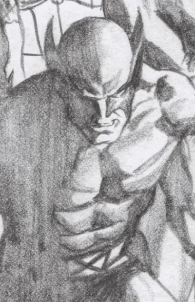 Cover of Cover D