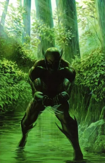 Cover of Cover D