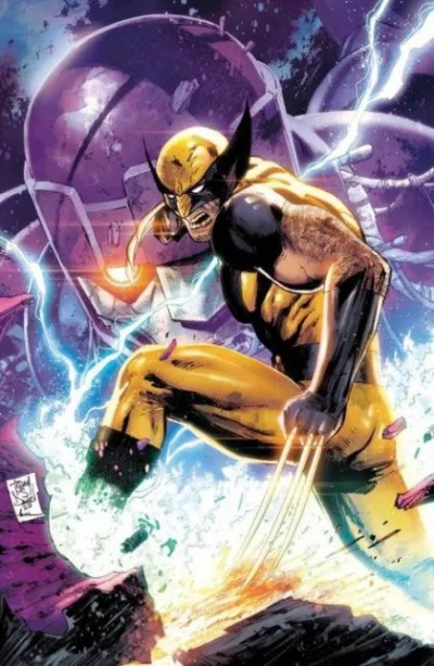 Cover of Cover D