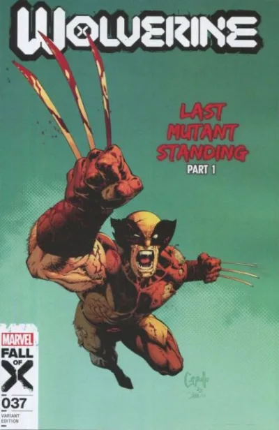 Cover of Cover C