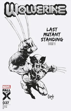 Cover of Cover M