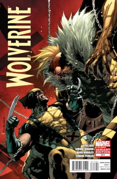 Cover of Cover B