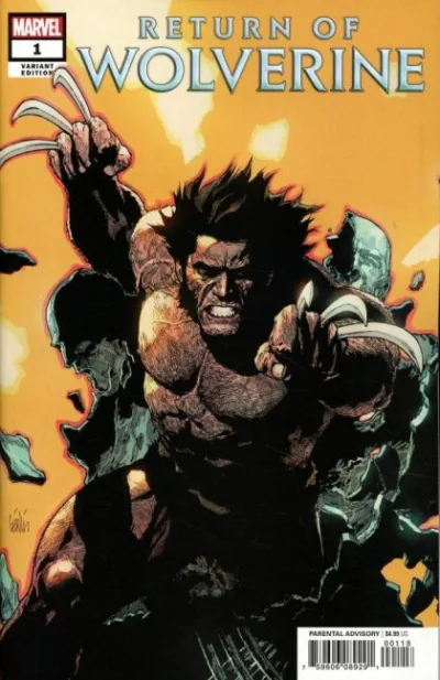 Cover of Cover N