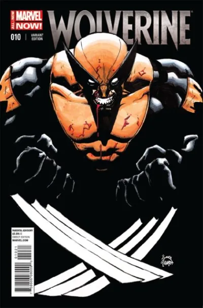 Cover of Cover B