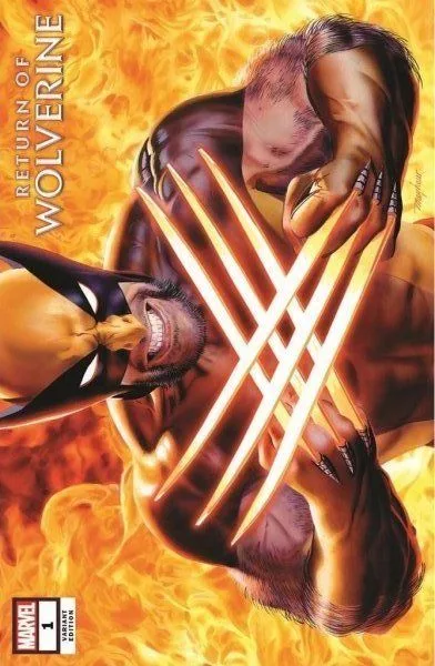 Cover of Cover AY