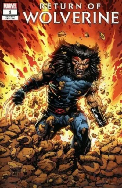 Cover of Cover D
