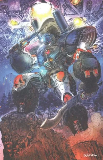 Cover of Cover D
