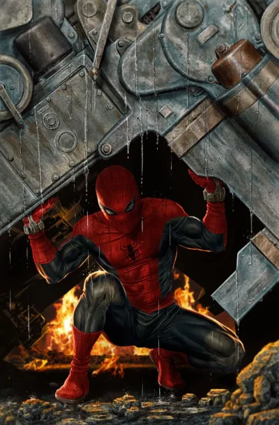 Cover of 14 Lee Bermejo Amazing Visions Virgin Variant
