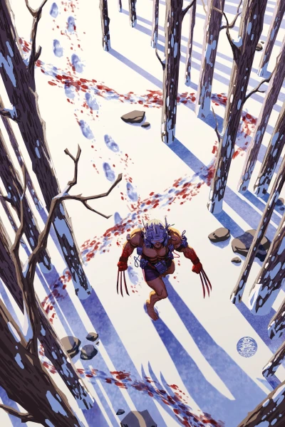 Cover of 13 Mark Brooks Virgin Variant