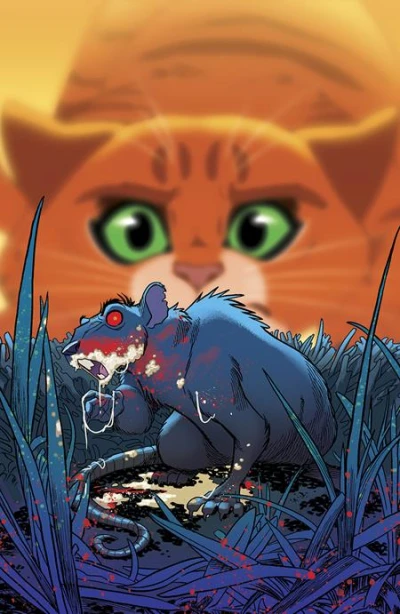 Cover of Trish Forstner & Tony Fleecs Virgin Variant (1:10)