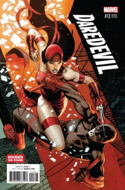 Cover of Chris Stevens Divided We Stand Variant