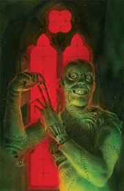 Cover of CVR D Stealth Var (Mr)