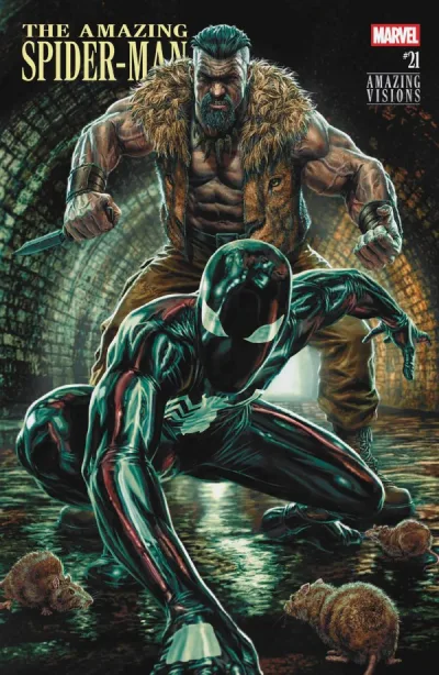 Cover of Lee Bermejo Amazing Visions Variant