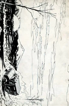 Cover of Cover D