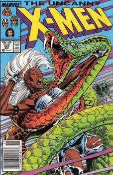 Cover of Cover B Newsstand Edition