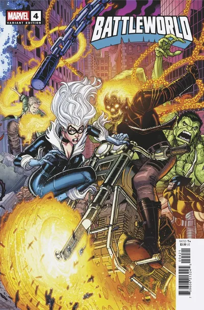 Cover of Cover B Nick Bradshaw Connecting Variant
