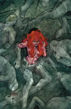 Cover of Amanda Conner Virgin Cover