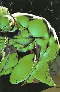 Cover of Cover F Savage Dragon Edition