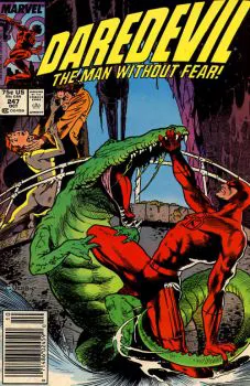 Cover of Cover B Newsstand Edition