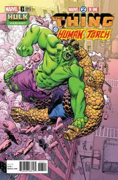 Cover of Mike Hawthorne Hulk Variant