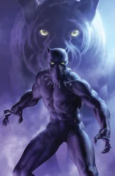 Cover of Cover P
