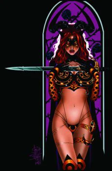 Cover of Cover E Cover by Jim Balent Virgin