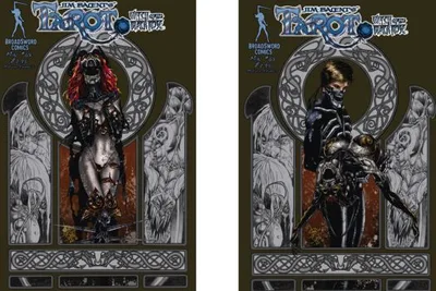 Cover of Jim Balent Bundle Variant