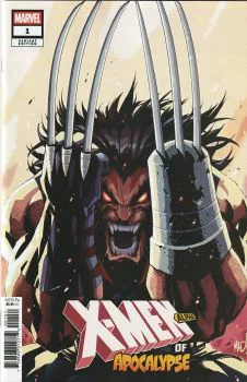 Cover of Joe Madureira Variant