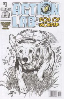 Cover of Cover D