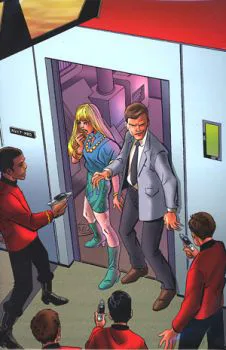 Cover of Virgin Cover