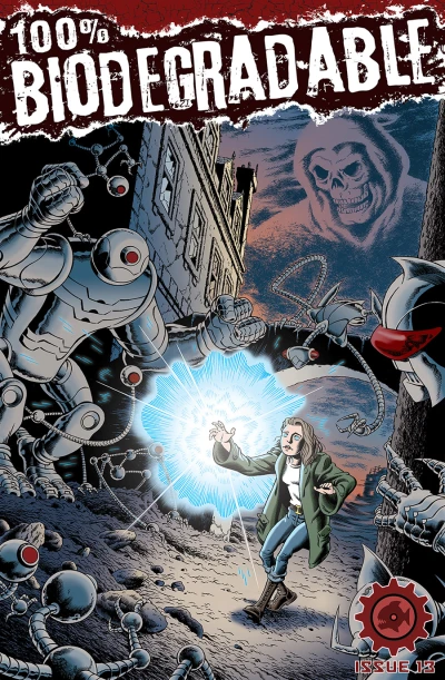 Cover of Issue #13