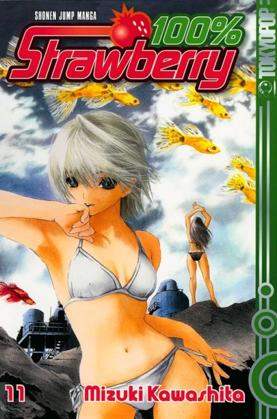 Cover of Volume #11