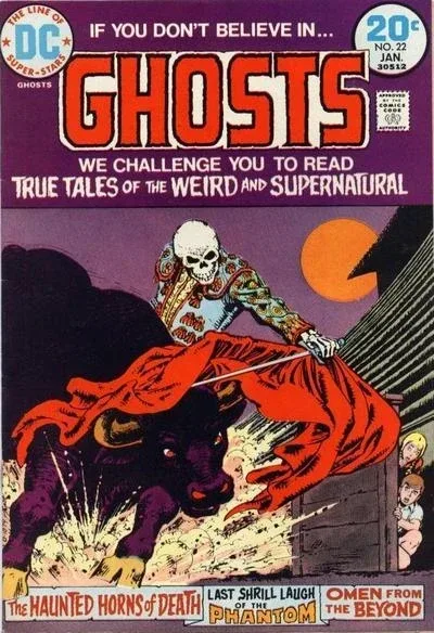Cover of Issue #22